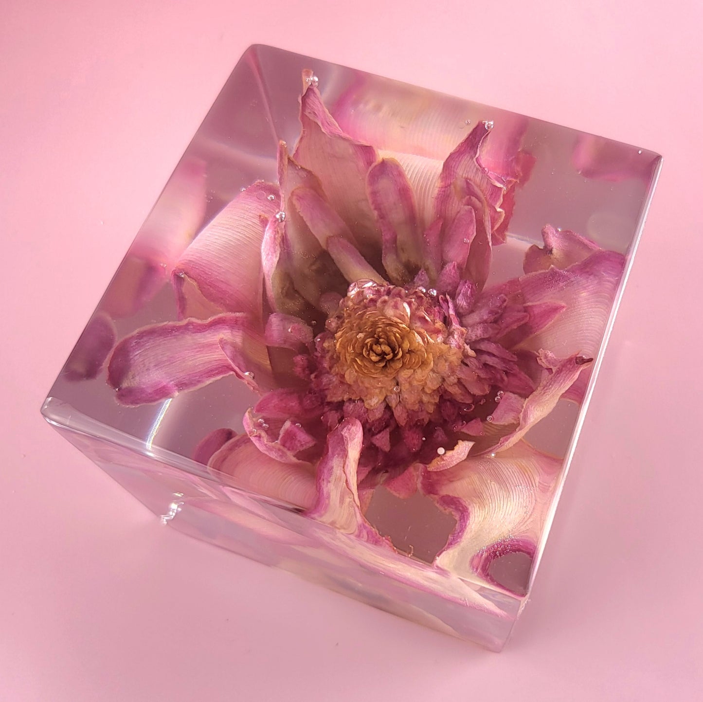 12" x 12" Large Tropical Haku Lei Po'o Hawaiian 3D Resin Wedding Bouquet Preservation Save Your Florals Wedding Gift Keepsake - flofloflowery