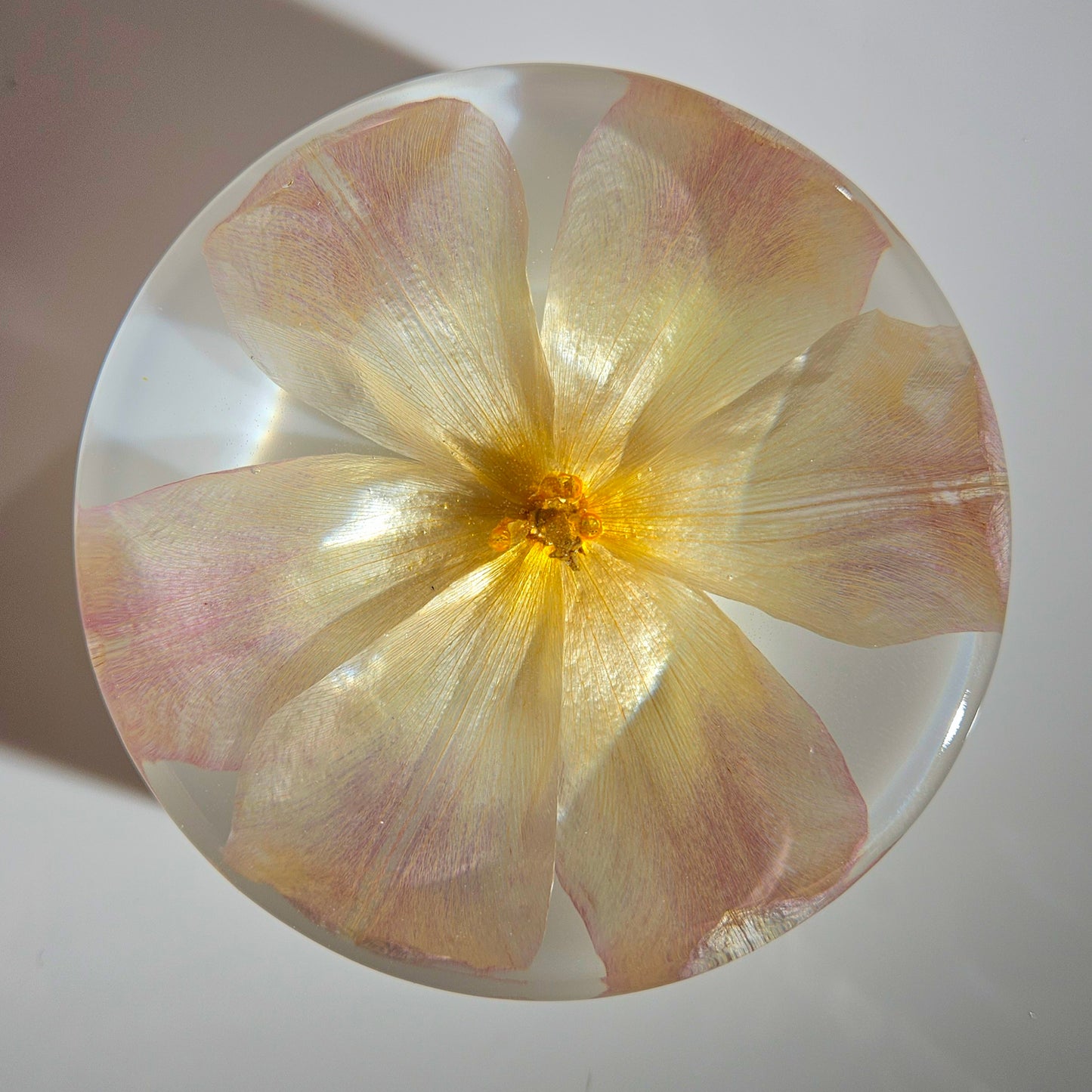 12" Hexagon Floral Preservation 3D Resin Wedding Bouquet Preservation Keepsake Gift Save Your Wedding Flowers Forever