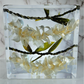 9" x 12" Bright Tropical Large Rectangle 3D Resin Wedding Bouquet Preservation Hawaiian Lei Save Your Florals Wedding Gift Keepsake
