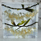 8"x 8" Hawaiian Tropical Lei 3D Floral Resin Art Cube Wedding Bouquet Modern Fried Flowers Square Save Your Gift Keepsake