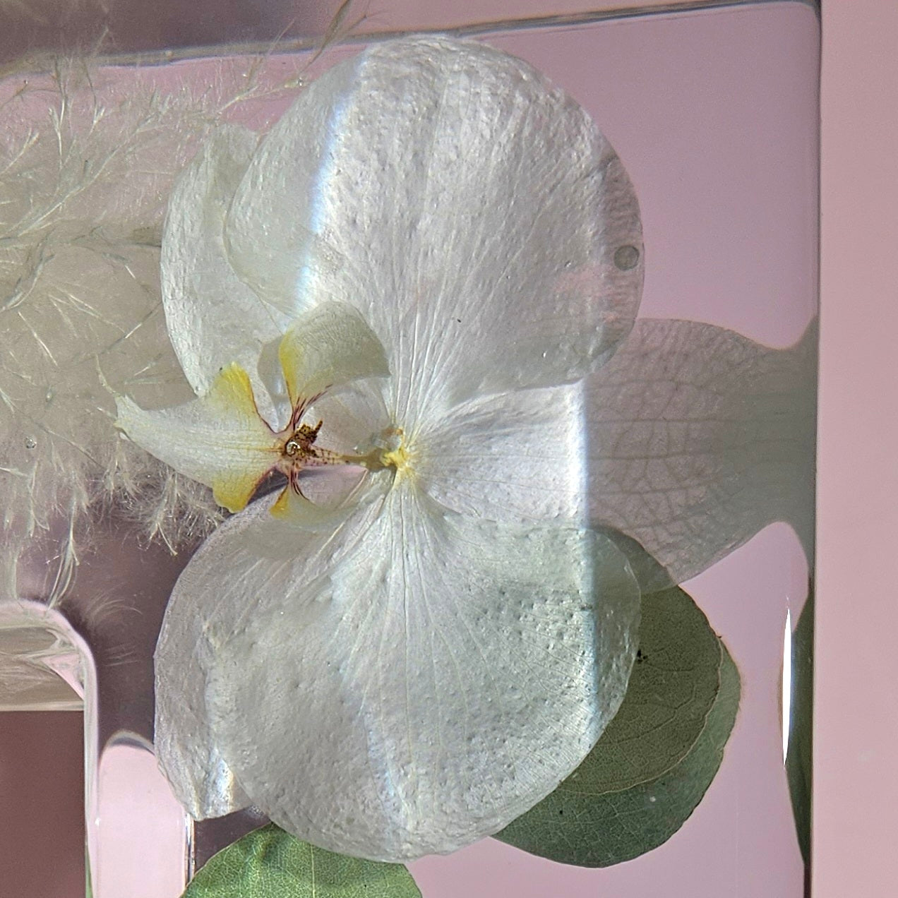 12"x10"x3" Picture Frame Resin Bouquet Wedding Preservation Save Your Tropical Wedding Bouquet Flowers Forever Gift Keepsake