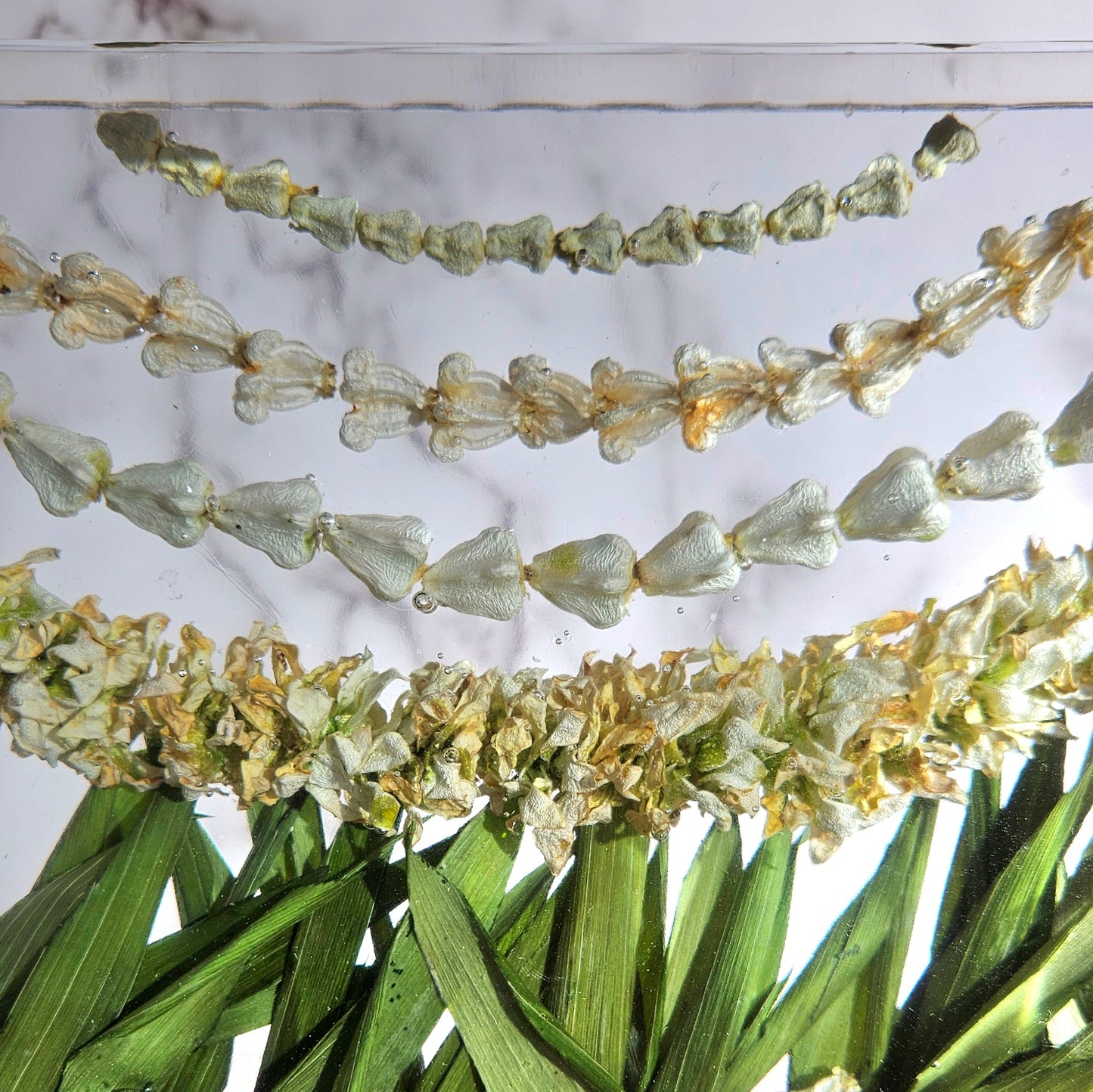 8"x 8" Hawaiian Tropical Lei 3D Floral Resin Art Cube Wedding Bouquet Modern Fried Flowers Square Save Your Gift Keepsake